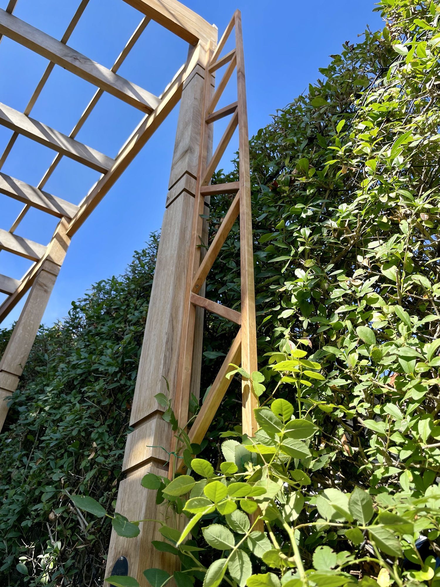 Trellis For Climbing Rose